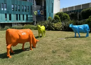 cow statues on grass